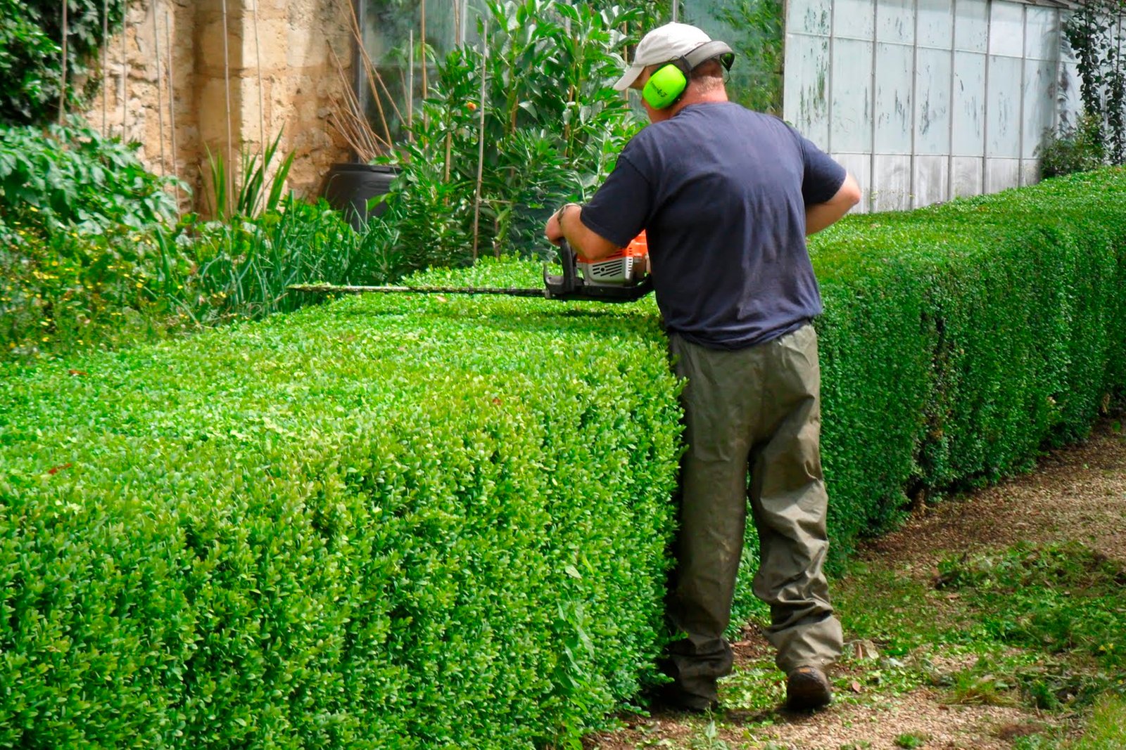 Serviço de Jardinagem Completo